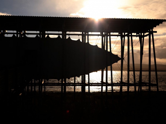 russia_norway_2016_28